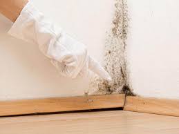 Best Attic Mold Removal  in Naples, UT